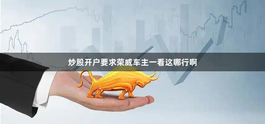 炒股开户要求荣威车主一看这哪行啊