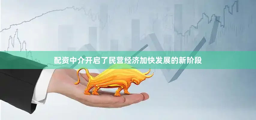 配资中介开启了民营经济加快发展的新阶段